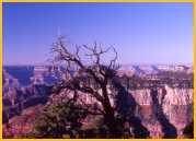 Grand Canyon North Rim