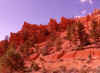 Red Rock Canyon 4 (55576 bytes)