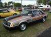 1979 Mustang Indy Pace Car (46871 bytes)