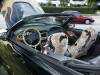 2001 Supercharged Mustang Cobra 3 (47011 bytes)