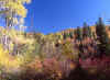 Above Tibblefork Reservoir 13 (62623 bytes)