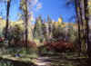 Above Tibblefork Reservoir 14 (66591 bytes)