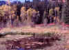 Above Tibblefork Reservoir 18 (67072 bytes)