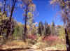 Above Tibblefork Reservoir 19 (69137 bytes)