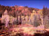 Above Tibblefork Reservoir 2 (63701 bytes)