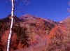 Above Tibblefork Reservoir 7 (45096 bytes)
