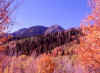Above Tibblefork Reservoir 8 (63671 bytes)