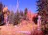 Above Tibblefork Reservoir 9 (66094 bytes)