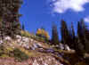 Alta, Utah 5 (61036 bytes)