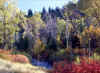 Below Tibblefork Reservoir 1 (69359 bytes)