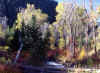 Below Tibblefork Reservoir 3 (69254 bytes)