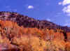 Brighton, Utah 1 (58815 bytes)