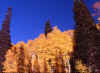 Brighton, Utah 3 (58327 bytes)