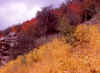 Farmington Canyon, Utah 5 (62646 bytes)