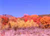 Guardsman's Pass, Utah 1 (43092 bytes)
