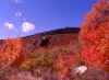 Guardsman's Pass, Utah 3 (59983 bytes)