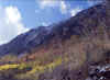 Timpanokee, Utah 4 (56924 bytes)