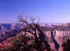 Bright Angel Point 6 (51638 bytes)