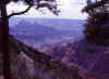 Transept Trail 2 (54830 bytes)