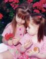 Staysya and Lexy 6 (5 and 3 y.o.)(46238 bytes)