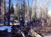 Above Tibblefork Reservoir 23 (68719 bytes)