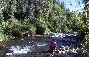 Below Tibblefork Reservoir 6 (27713 bytes)