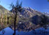 Teton's Jenny Lake 1 (57982 bytes)