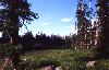 Moose Lake 2 (20067 bytes)