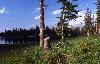 Moose Lake 3 (21165 bytes)