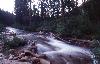 Uinta's Provo River 1 (19908 bytes)