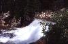 Uinta's Upper Provo River 1 (16904 bytes)