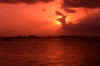 Key West, Mallory Square Sunset Celebration (35480 bytes)